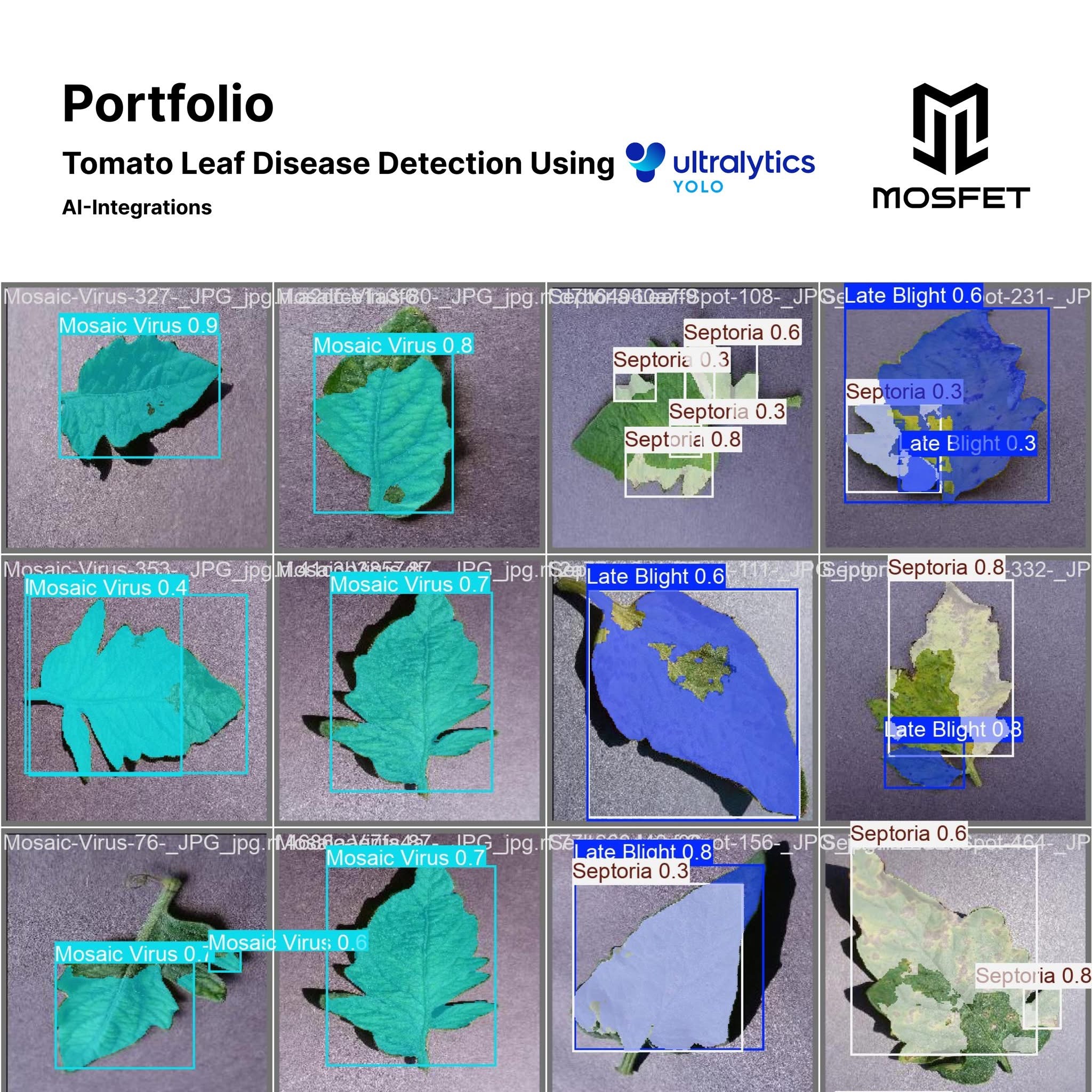 Tomato Leaf Disease Detection Using YOLO